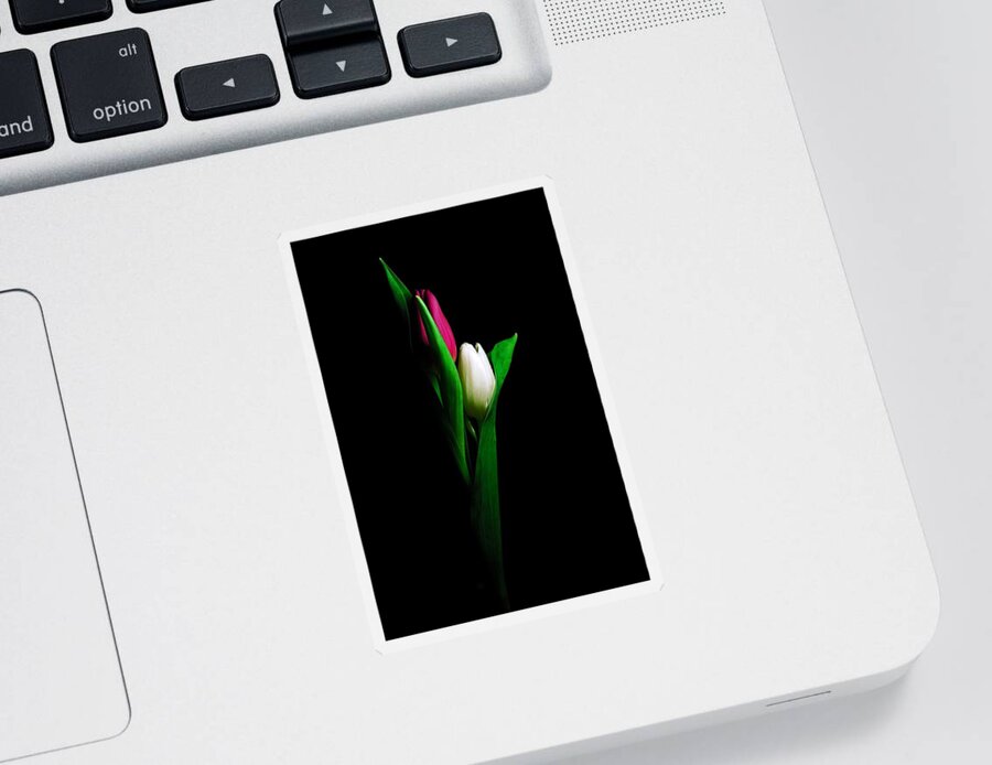 Tulips Sticker featuring the photograph Two Tulips by Elsa Santoro