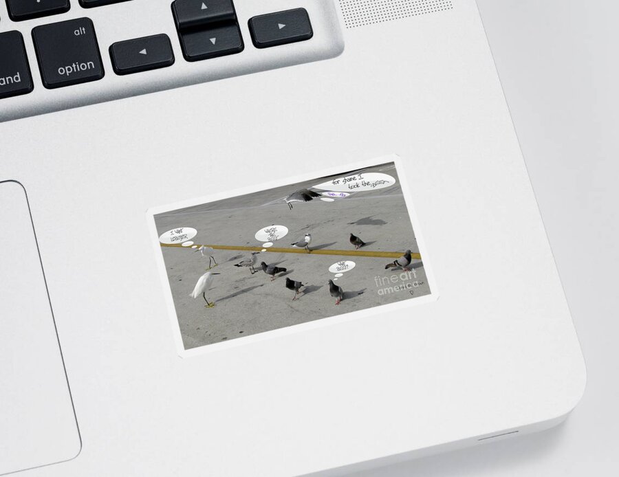 Birds Sticker featuring the photograph Where The Beef by Donna Brown