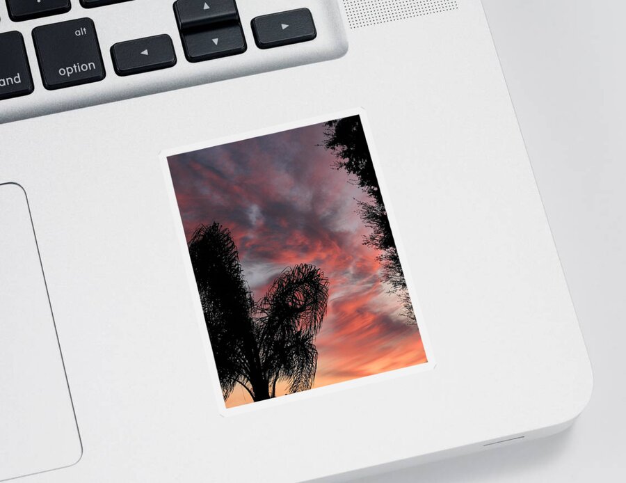 Nature Sticker featuring the photograph Windswept Clouds by Peggy Urban