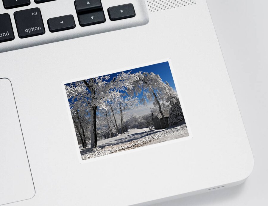 Winter Morning Sticker featuring the photograph Winter Morning by Lois Bryan