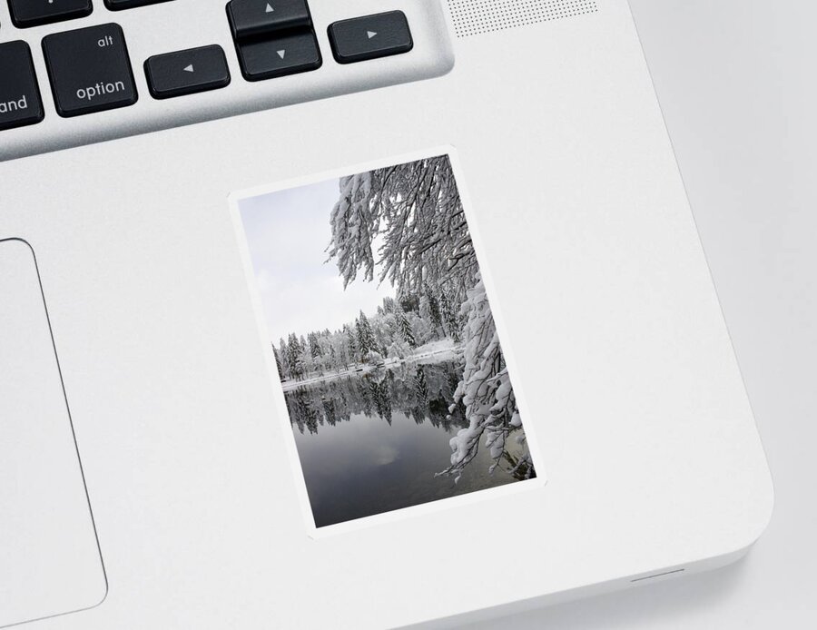 Reflections Sticker featuring the photograph Wintery reflections by Ian Middleton