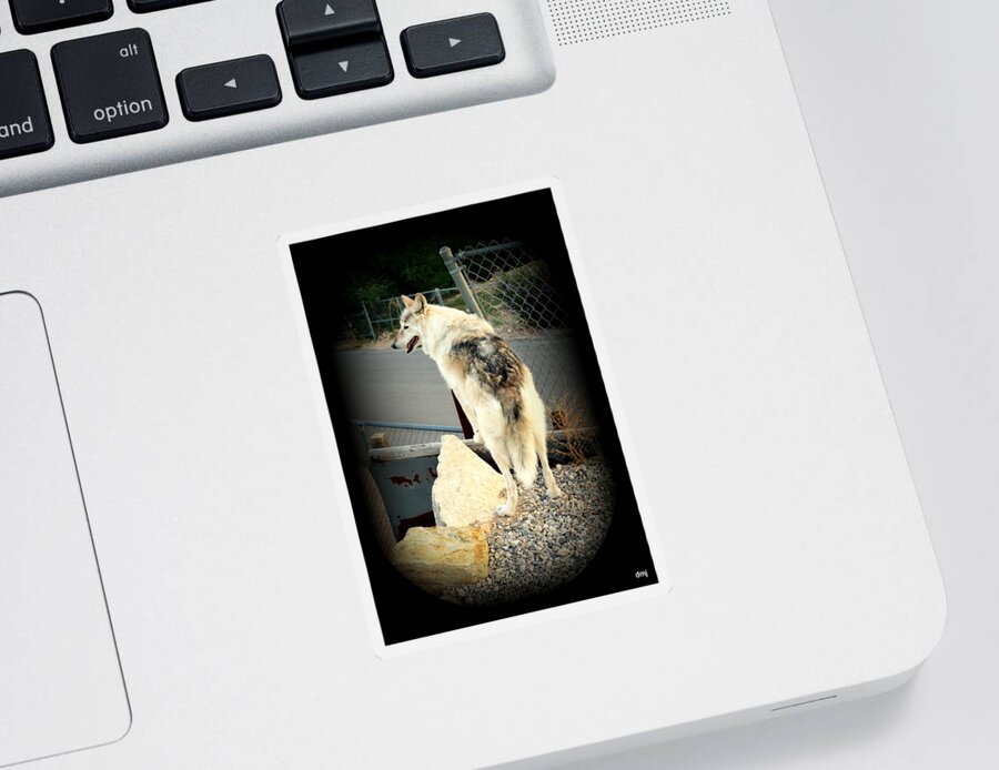 Wolf Sticker featuring the photograph wolves X by Diane montana Jansson
