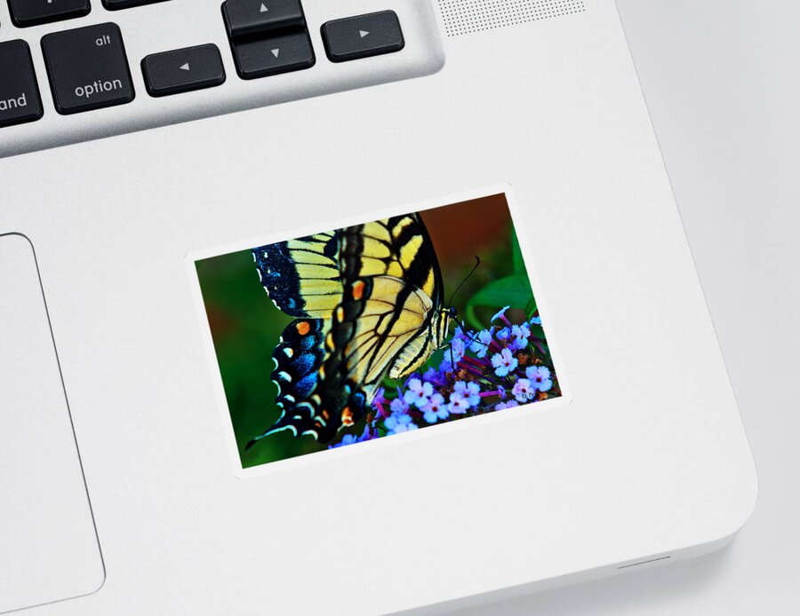 Butterfly Sticker featuring the photograph Yellow Butterfly by Ed Peterson