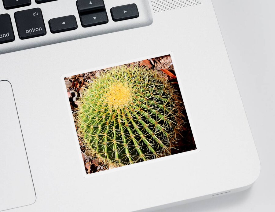 Cactus Sticker featuring the photograph Yellow Cactus by M Diane Bonaparte