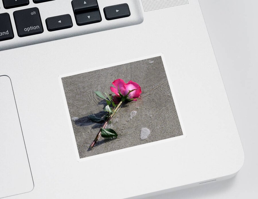 Rose Sticker featuring the photograph A Rose for Julie by Lori Lafargue