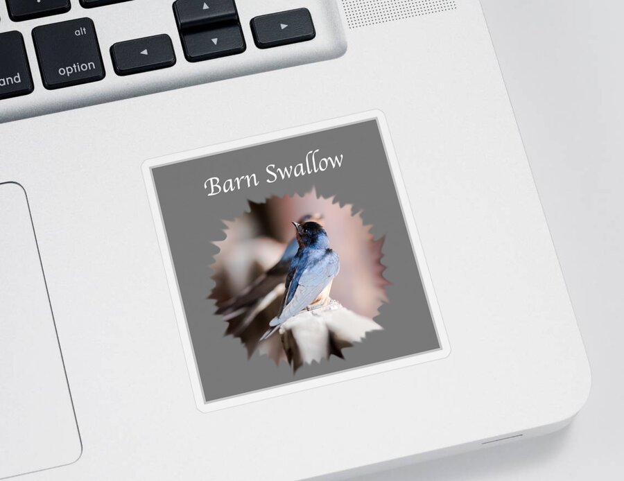Barn Swallow Sticker featuring the photograph Barn Swallow by Holden The Moment