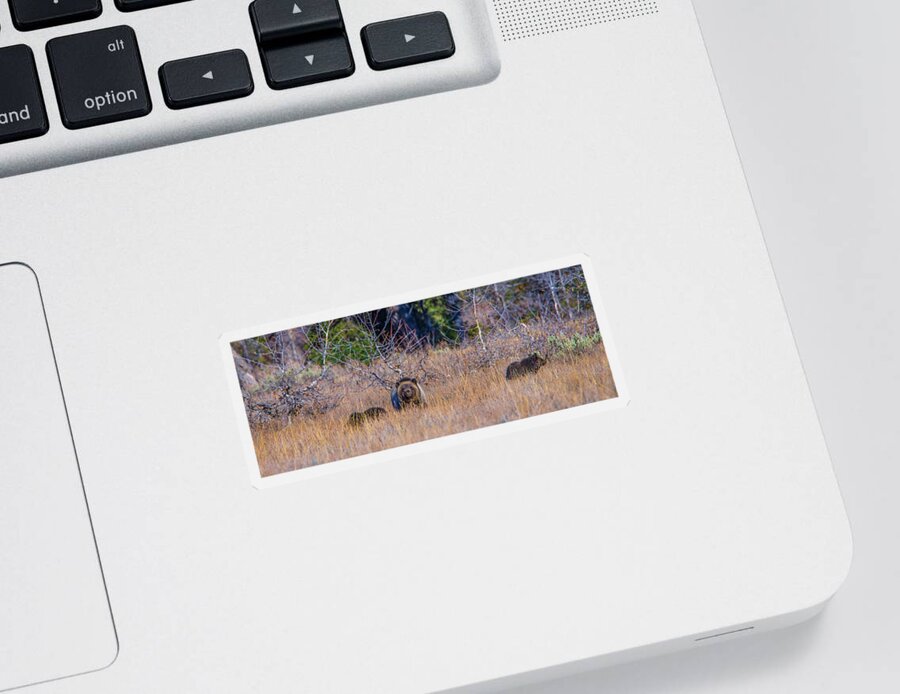Blondie Sticker featuring the photograph Blondie Of Grand Teton National Park #1 by Yeates Photography