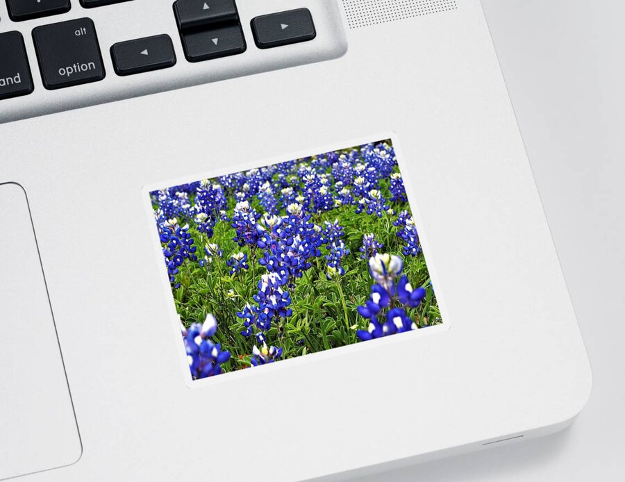 Blue Bonnets Sticker featuring the photograph Blue #1 by Jerry Connally