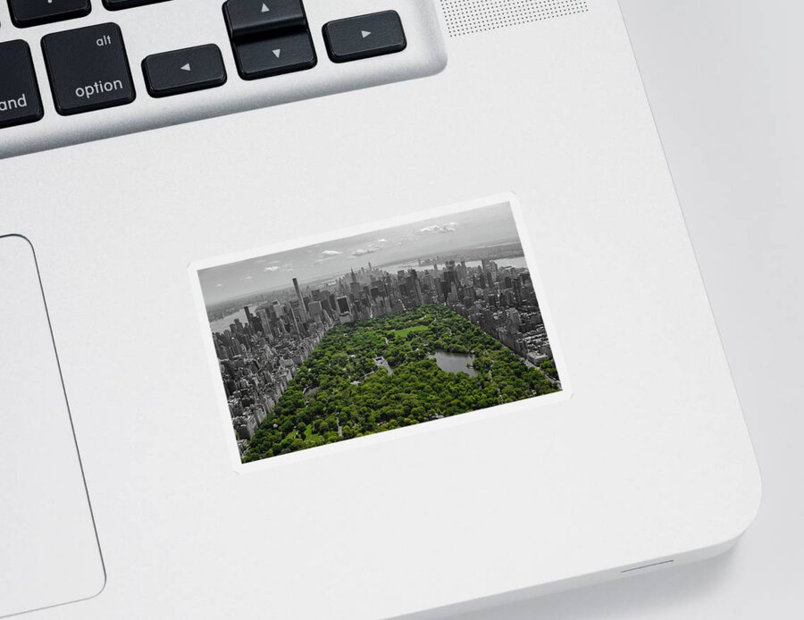 Central Park Sticker featuring the photograph Concrete Jungle #1 by Rand Ningali