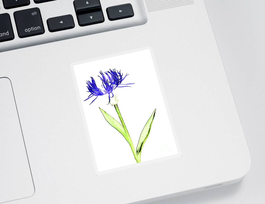 Digital Sticker featuring the photograph Cornflower No.5 by Tony Mills