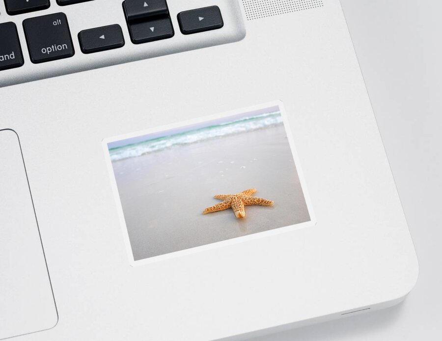 Destin Sticker featuring the photograph Destin Florida Miramar Beach Starfish by Robert Bellomy