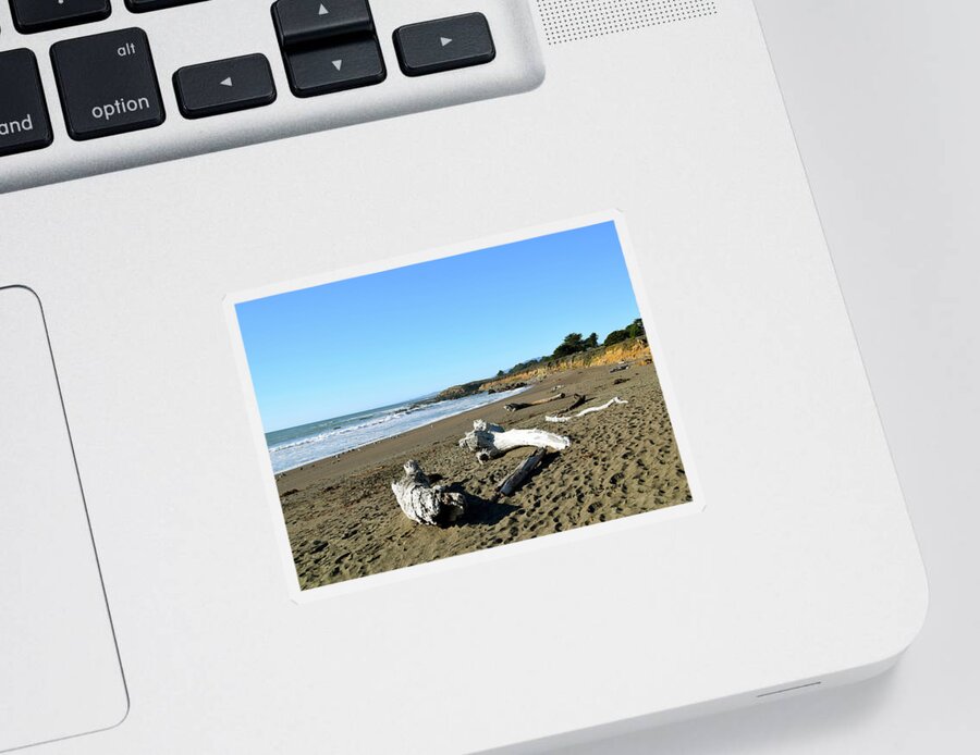 Driftwood On Moonstone Beach Sticker featuring the photograph Driftwood on Moonstone Beach #1 by Barbara Snyder