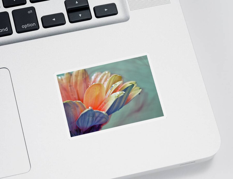Plant Sticker featuring the photograph Elegance #1 by Stelios Kleanthous
