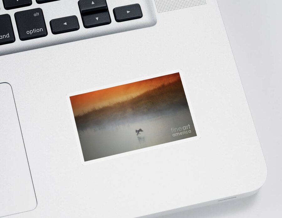 Lake Sticker featuring the photograph Foggy Landing #1 by Elizabeth Winter