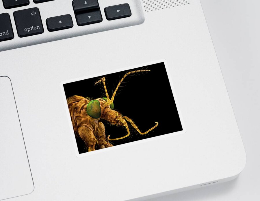 Alien Sticker featuring the photograph Green eyed crane fly #1 by Mihai Andritoiu