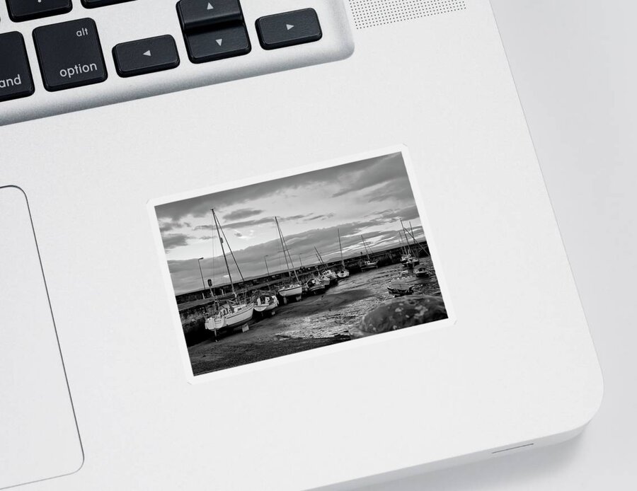 Black And White Sticker featuring the photograph In the dusk. #1 by Elena Perelman