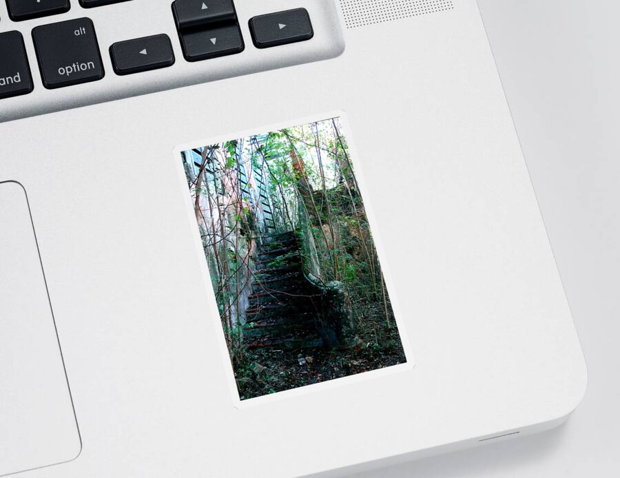 House Sticker featuring the photograph Jungle House by Robert Nickologianis