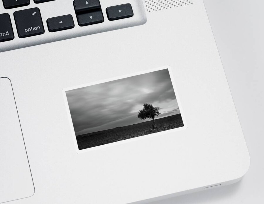 Olive Tree Sticker featuring the photograph Lonely Olive tree in a green field and moving clouds #1 by Michalakis Ppalis