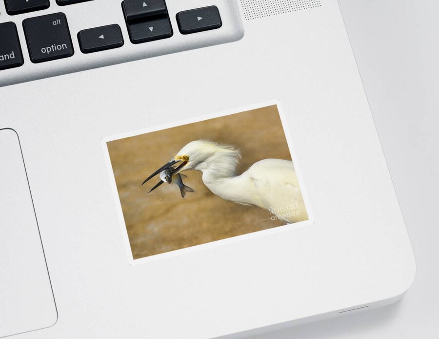 Egret Sticker featuring the painting Lunch Is Served #2 by Deborah Benoit