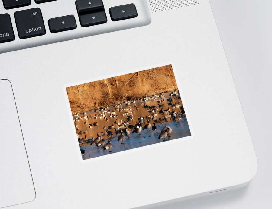 Winter Scene Sticker featuring the photograph Open Water #1 by Ed Peterson