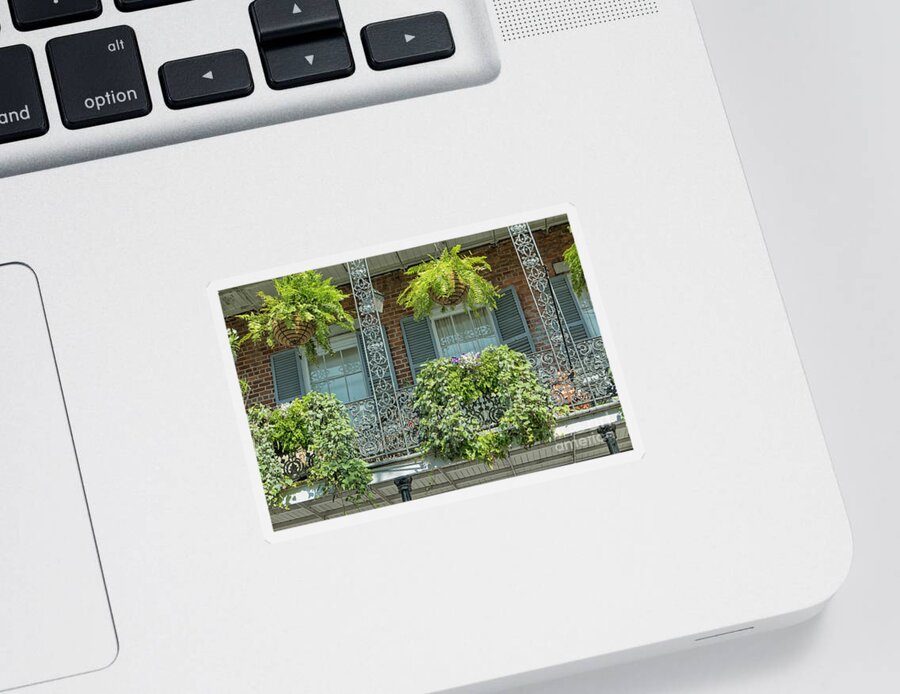 America Sticker featuring the photograph Plants on balconies in New Orleans, USA by Patricia Hofmeester