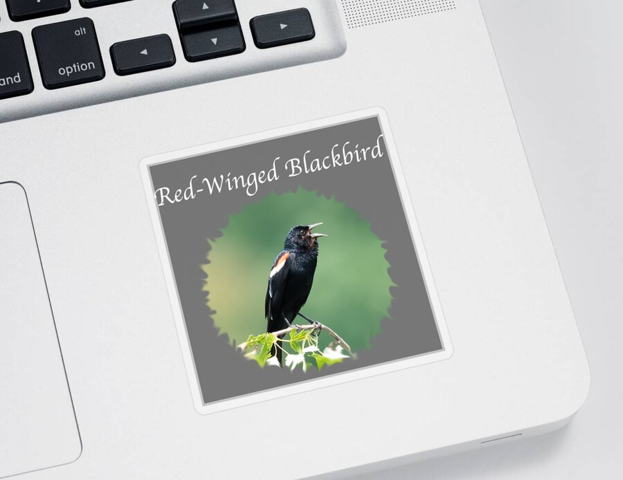 Red-winged Blackbird Sticker featuring the photograph Red-Winged Blackbird #1 by Holden The Moment