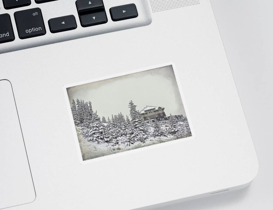 Snow Sticker featuring the photograph Snow in July #2 by Teresa Zieba