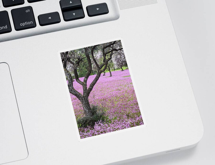 Spring Sticker featuring the photograph Spring landscape. Almond tree and purple flower field by Michalakis Ppalis