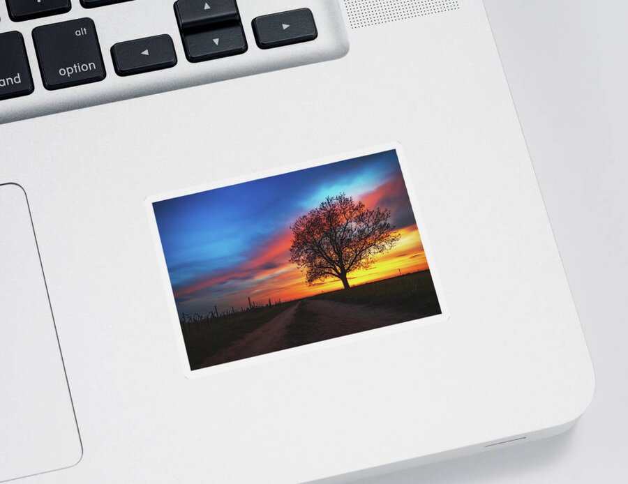 Tree Sticker featuring the photograph Sunset #1 by Marc Braner
