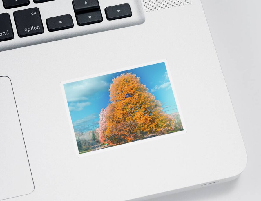 Tree Sticker featuring the photograph Tree Line #1 by William Norton