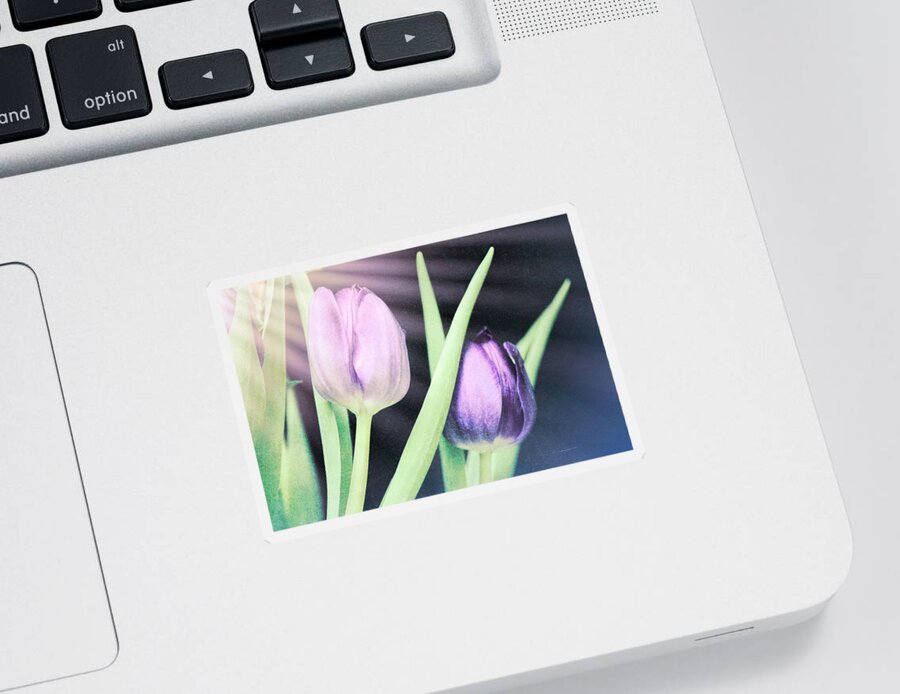Photo Art Sticker featuring the photograph Tulips on Parade #1 by Bonnie Bruno