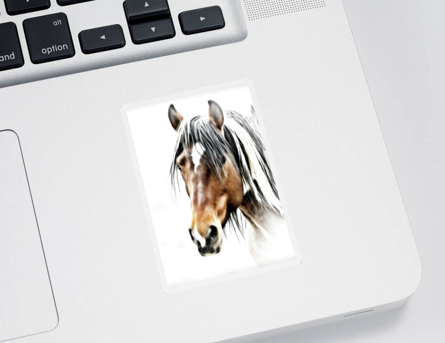 Horse Sticker featuring the photograph Wild One #1 by Athena Mckinzie