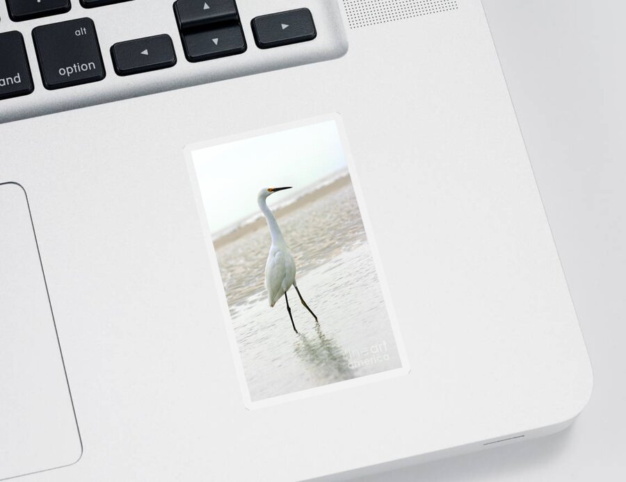  Sticker featuring the photograph Egret #14 by Angela Rath