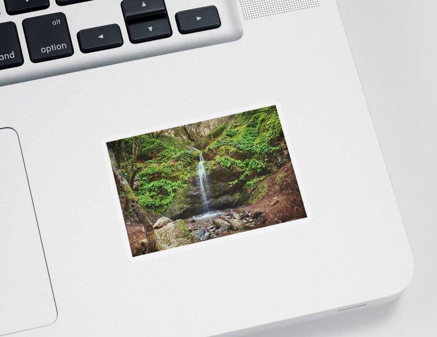 Buck Gulch Falls Sticker featuring the photograph A Little Bit of Love #1 by Laurie Search