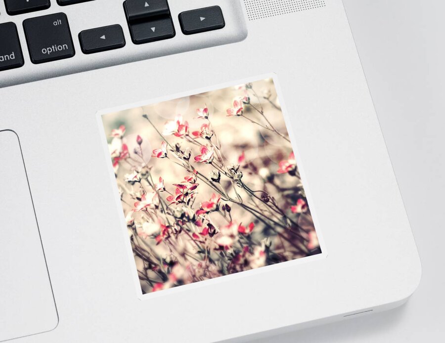 Tiny Flowers Sticker featuring the photograph Carefree #2 by Bonnie Bruno