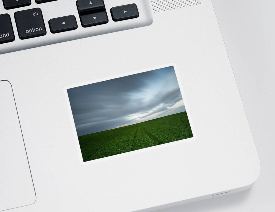 Green Field Sticker featuring the photograph Green field and cloudy sky by Michalakis Ppalis