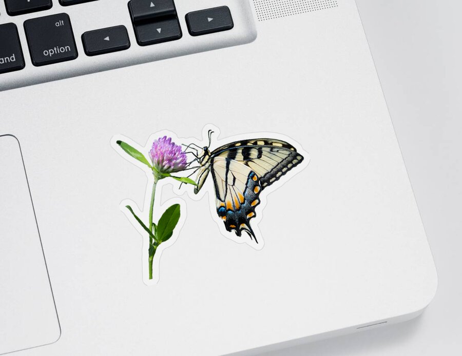 Tiger Swallowtail Butterfly Sticker featuring the photograph Tiger Swallowtail Butterfly by Holden The Moment