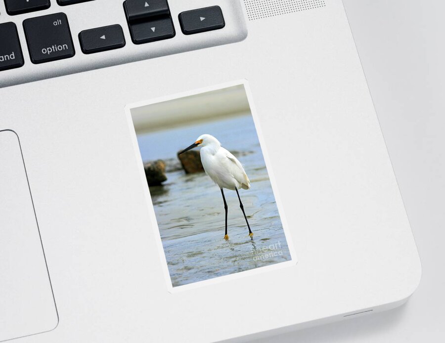  Sticker featuring the photograph Egret #26 by Angela Rath