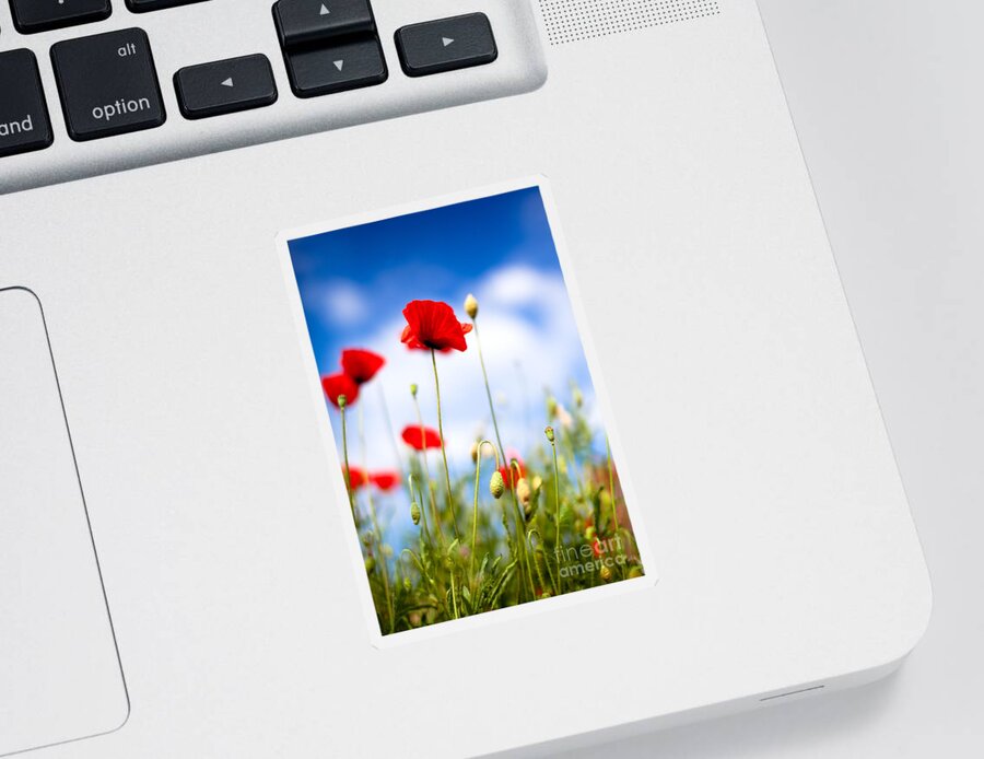 Poppy Sticker featuring the photograph Corn Poppy Flowers #3 by Nailia Schwarz