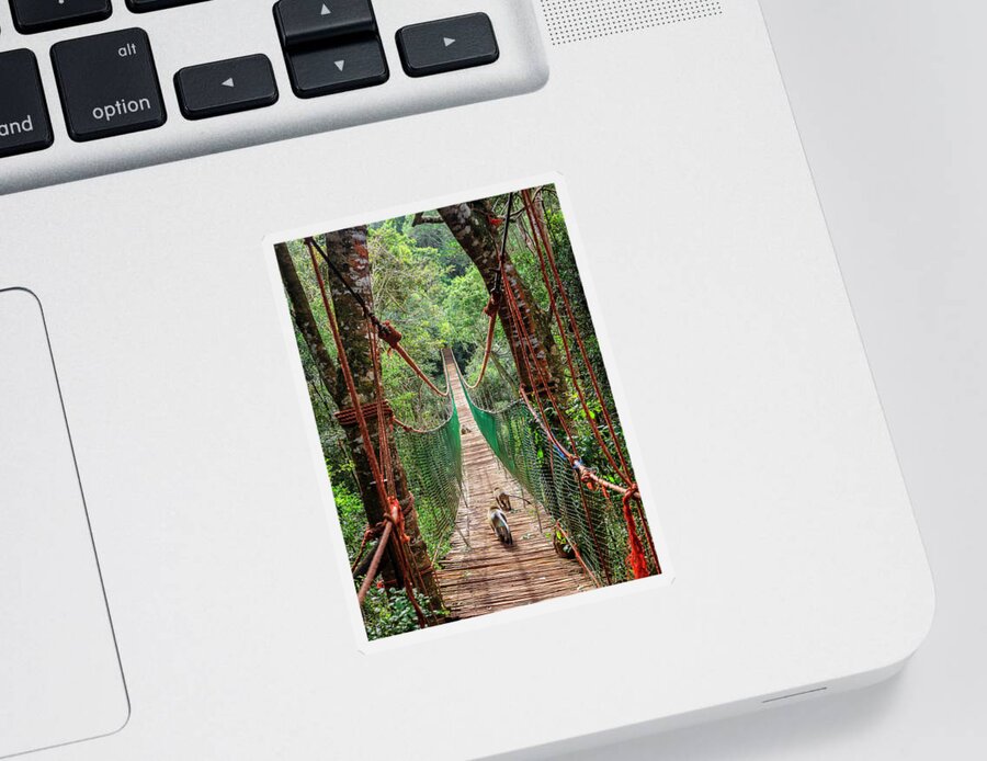 Plettenberg Bay Sticker featuring the photograph Hanging bridge #3 by Alexey Stiop