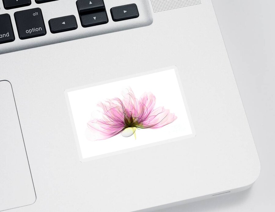 Xray Sticker featuring the photograph X-ray Of Peony Flower by Ted Kinsman