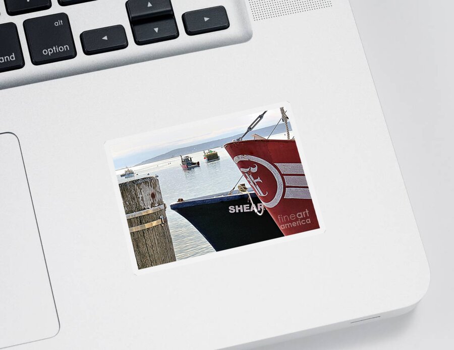 Boats Sticker featuring the photograph Docked #4 by Janice Drew