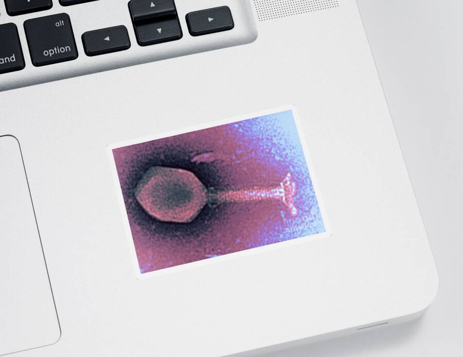 Medical Sticker featuring the photograph Enterobacteria Phage T4 Tem #4 by Scimat