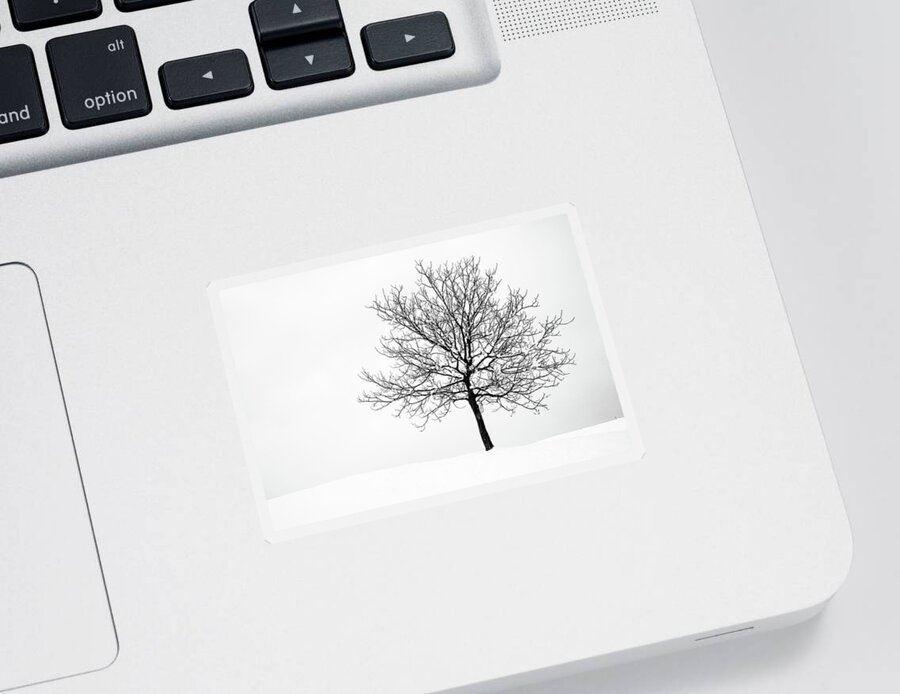 Tree Sticker featuring the photograph Winter #4 by Ian Middleton