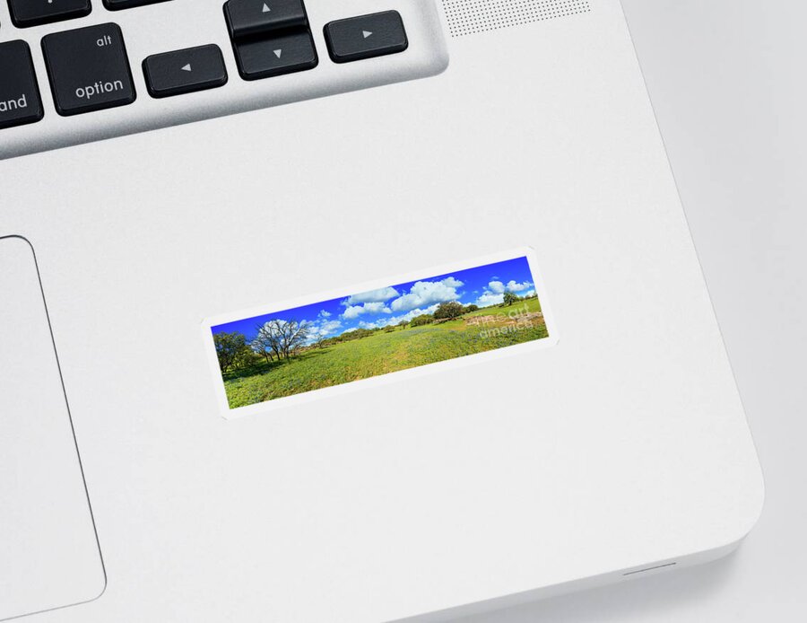 Austin Sticker featuring the photograph Texas Hill Country by Raul Rodriguez