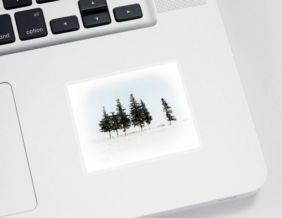 Pine Sticker featuring the photograph 6 Trees by Troy Stapek
