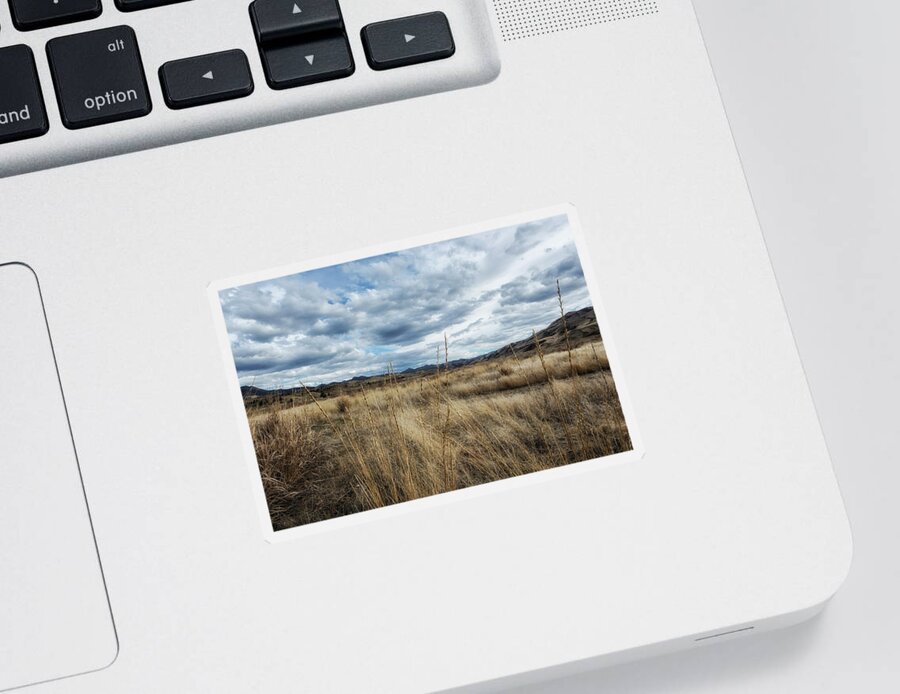 Landscape Sticker featuring the photograph A Bit of Central Oregon by Belinda Greb