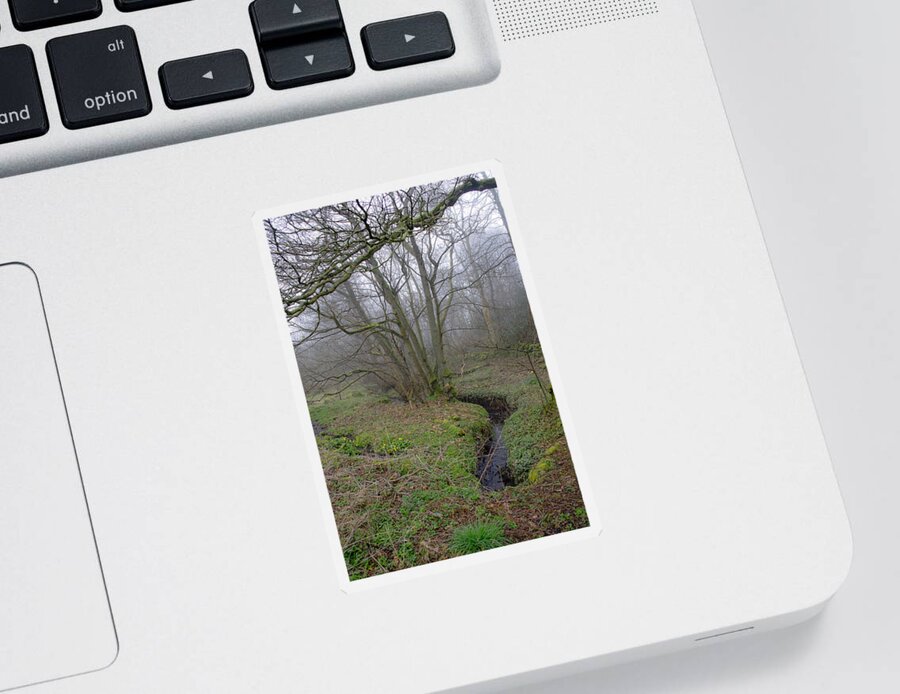 Stream Sticker featuring the photograph A Brook in the Fog. by Elena Perelman