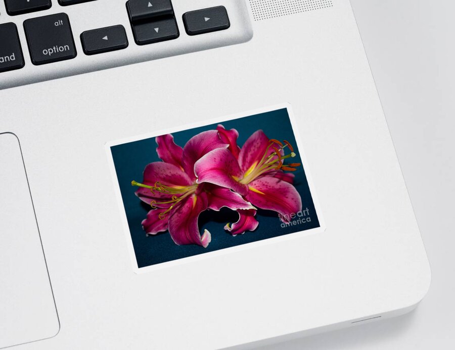 Lily Sticker featuring the photograph A Bunch of Beauty Floral by Roberta Byram