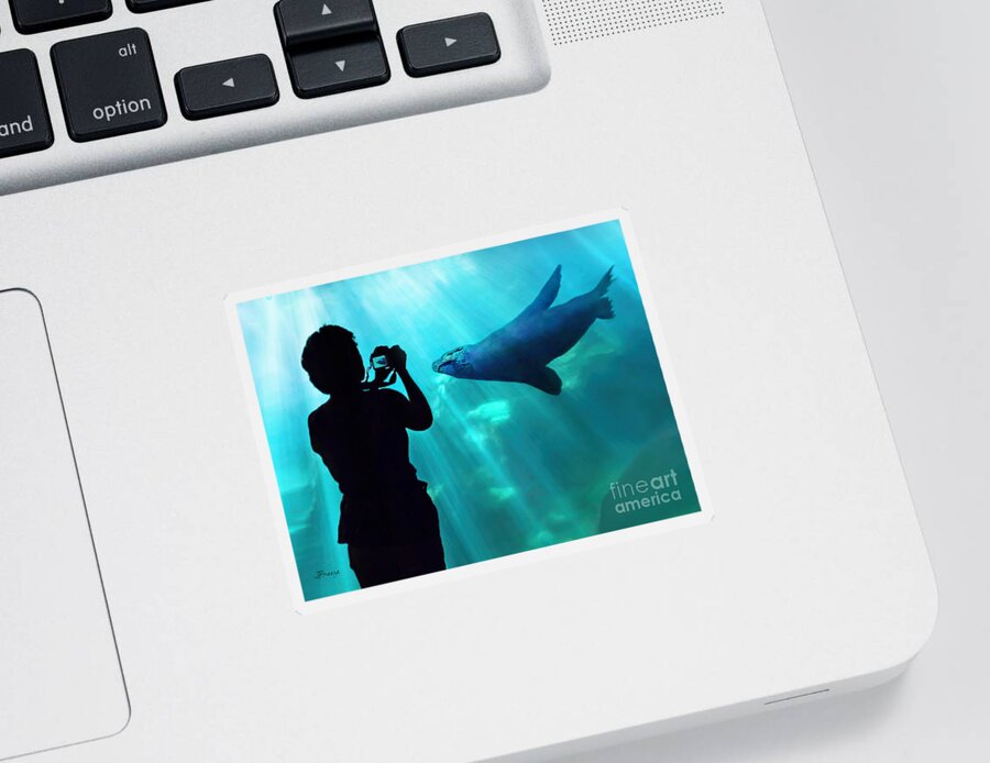 Aquarium Of The Pacific Sticker featuring the photograph A Captured Moment by Jennie Breeze